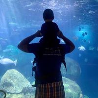 Daniel Nicholas Michael Keyser's profile image