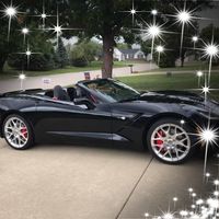 Norma Lundak's profile image