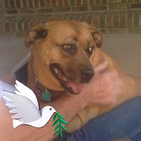 Lori Weckler's profile image