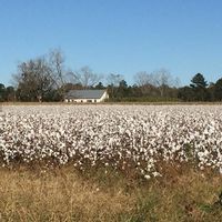 Mary Slocum's profile image
