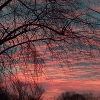 Judy Purnell's profile image
