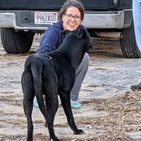 Andrea Ball Barclift's profile image