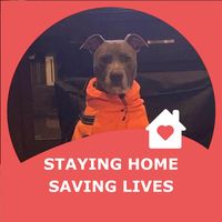 Lisa McGee's profile image