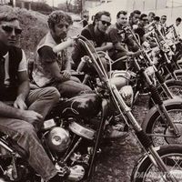 Skeeter Wynslew's profile image