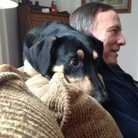 Dan Heck's profile image