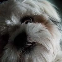 Kristine Johnson's profile image