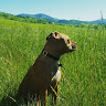 Kay J.'s profile image