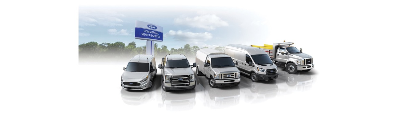 Gregg Young Ford of Newton's cover image