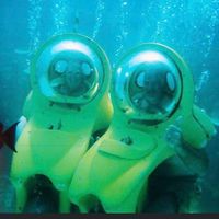 Robyn Townley Purswell's profile image