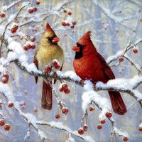 Geraldine Johnson Burnette's profile image