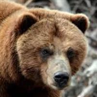 Mark Coe's profile image