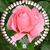 Venessa Lott's profile image