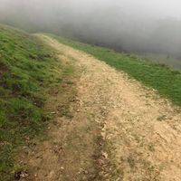 Amy Canfield's profile image