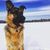 Kris Littlefield Jordan's profile image