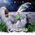 Robert Avilucea's profile image