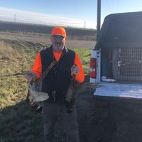 Jeff Brown's profile image