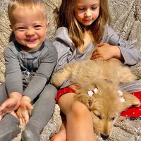 Sara Donell's profile image