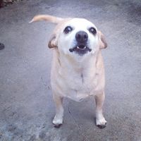 Ginny Albertson's profile image