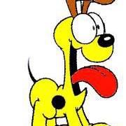 Larry Kalinsky's profile image