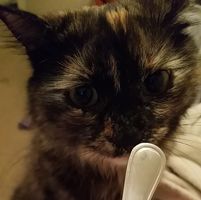 Kathryn Milstein's profile image