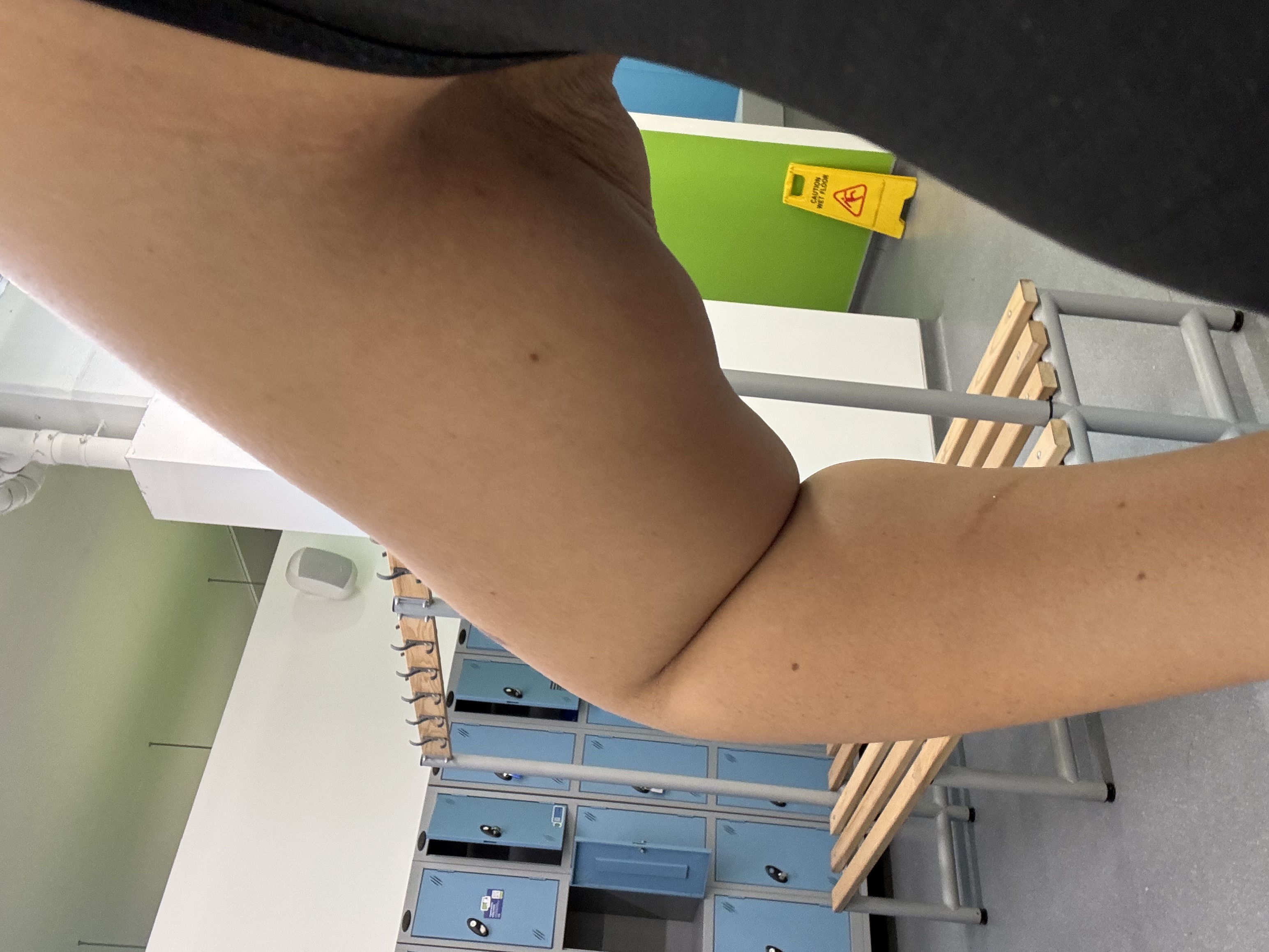 Nicole H.'s post 2