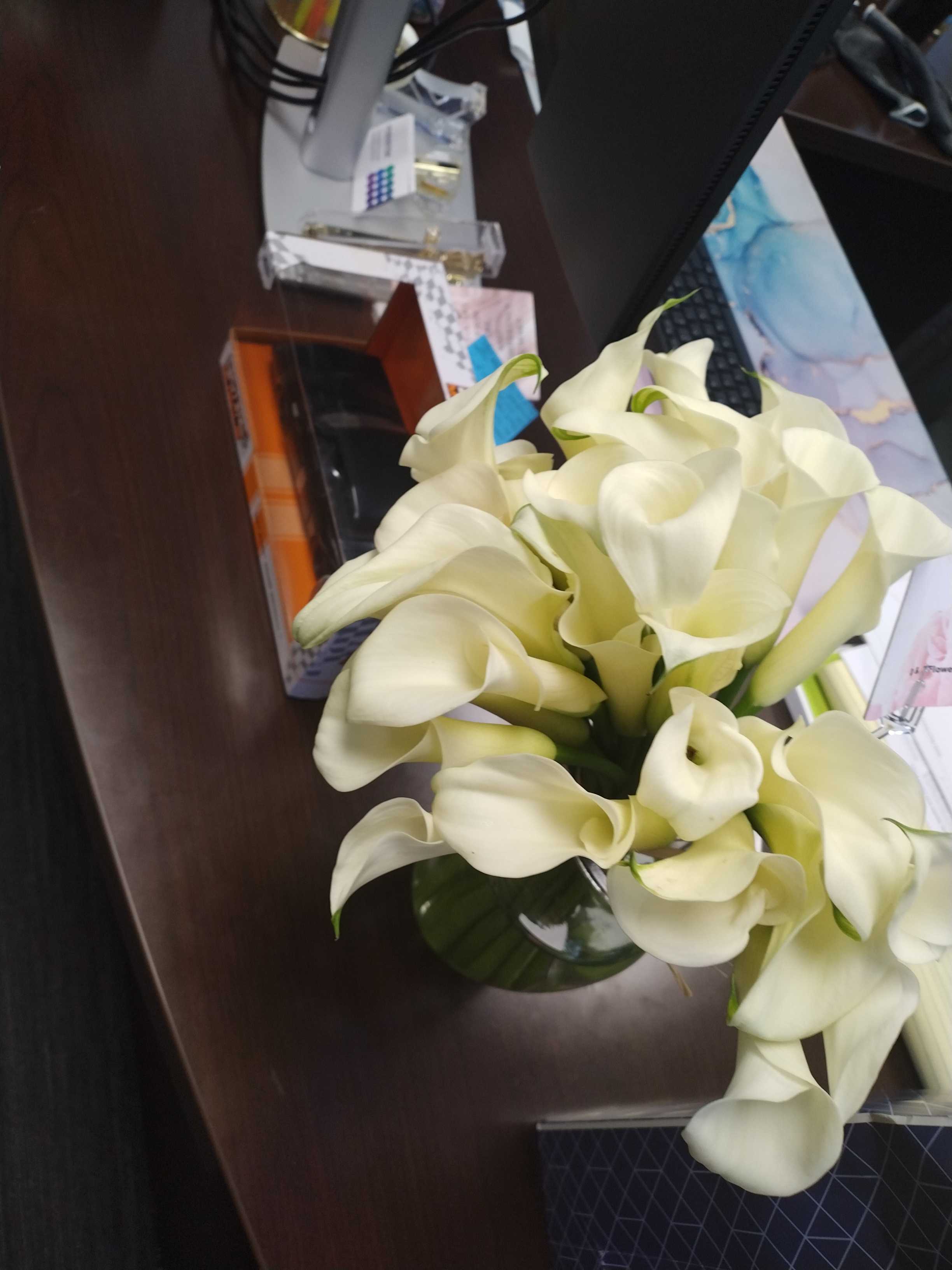 Lakisha “Bird” O.'s post 3