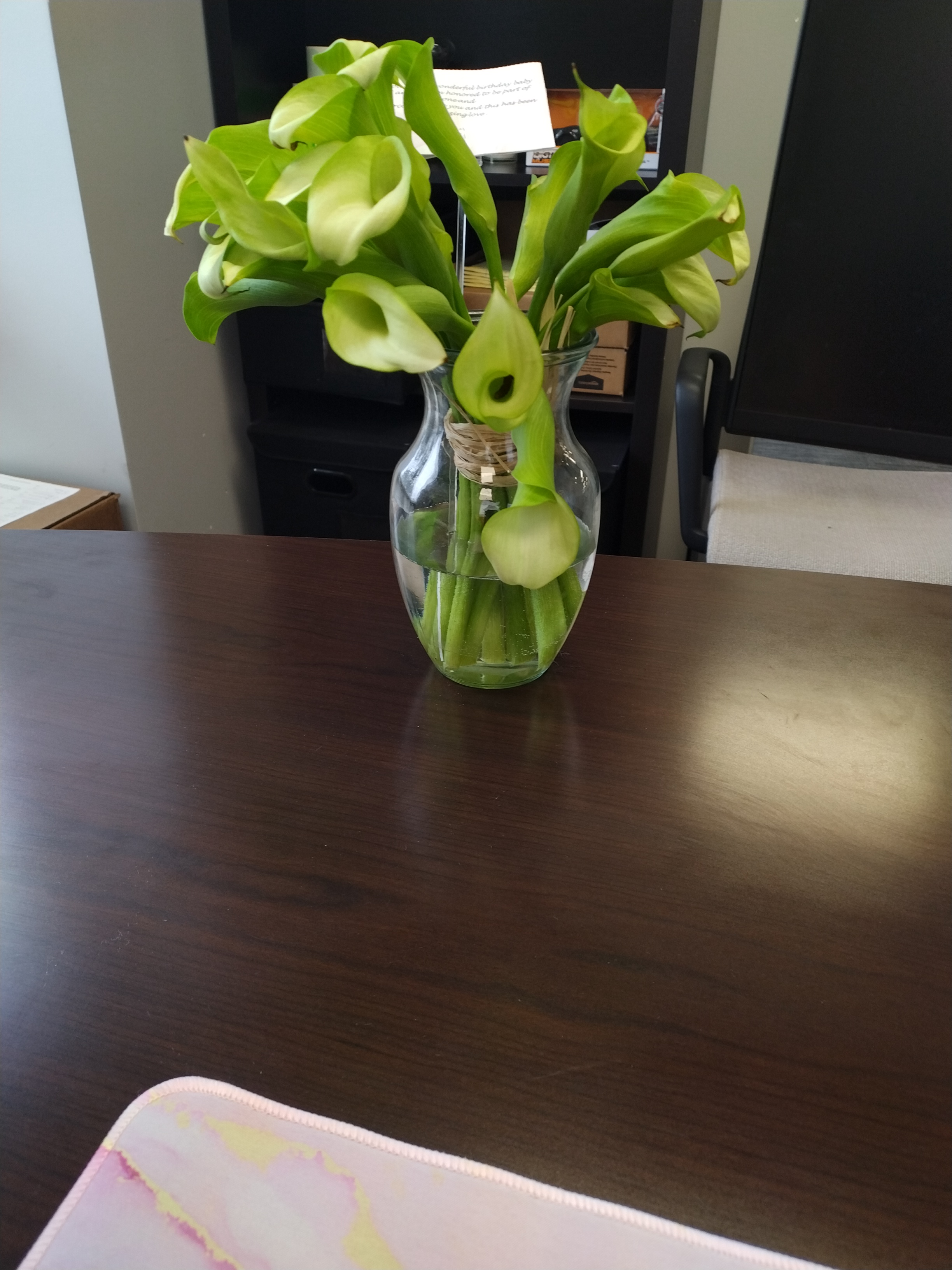 Lakisha “Bird” O.'s post 2