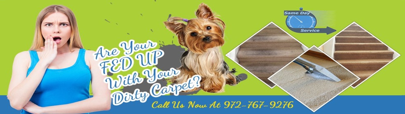 The Allen Carpet Cleaning's cover image