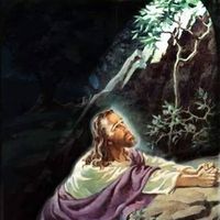 Christina Turullols's profile image