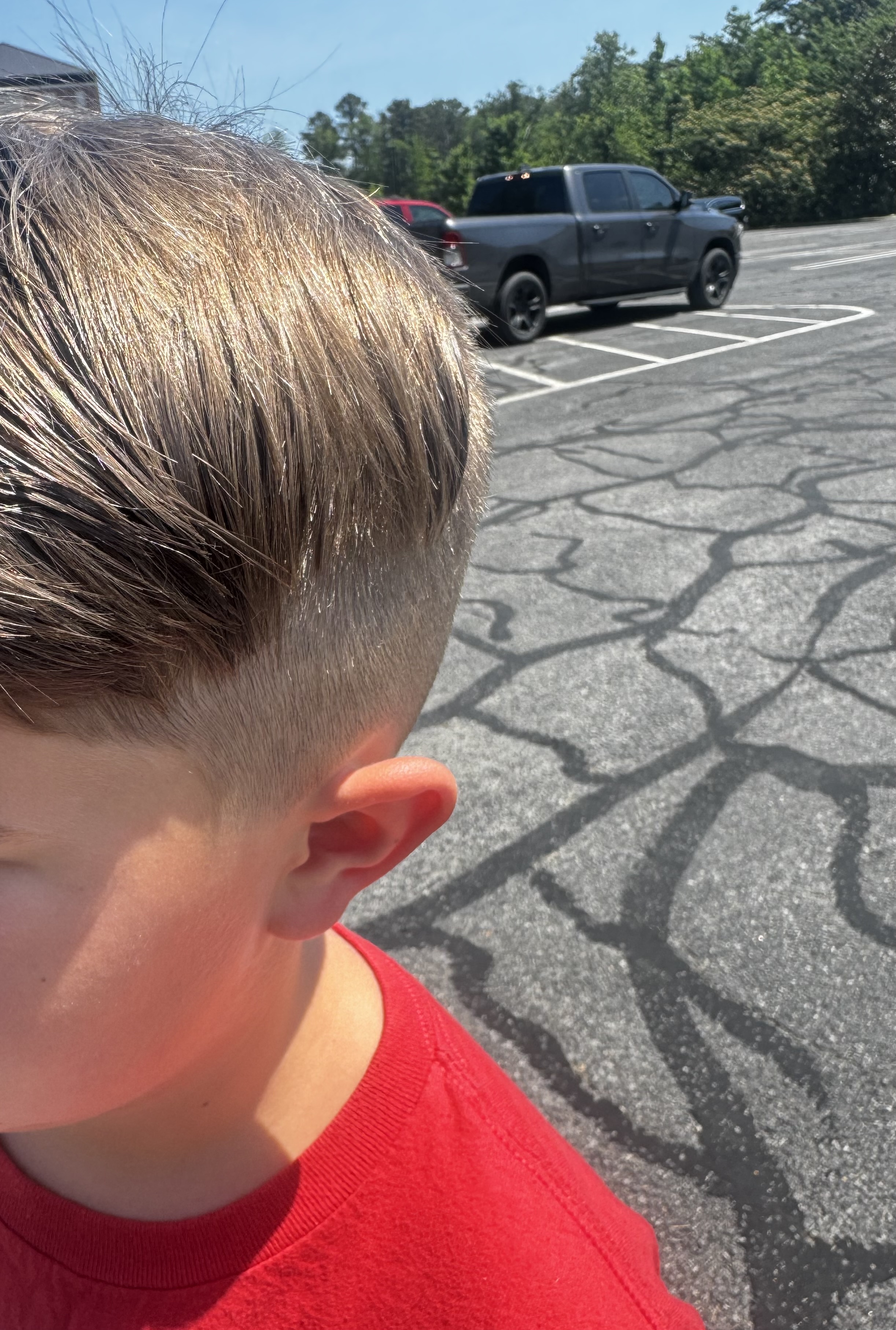 Melissa W.'s post 1