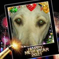 Pamela Parker's profile image