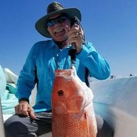 Daryl Hames's profile image