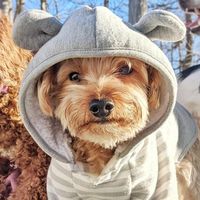 Lisa Michelle Studley's profile image