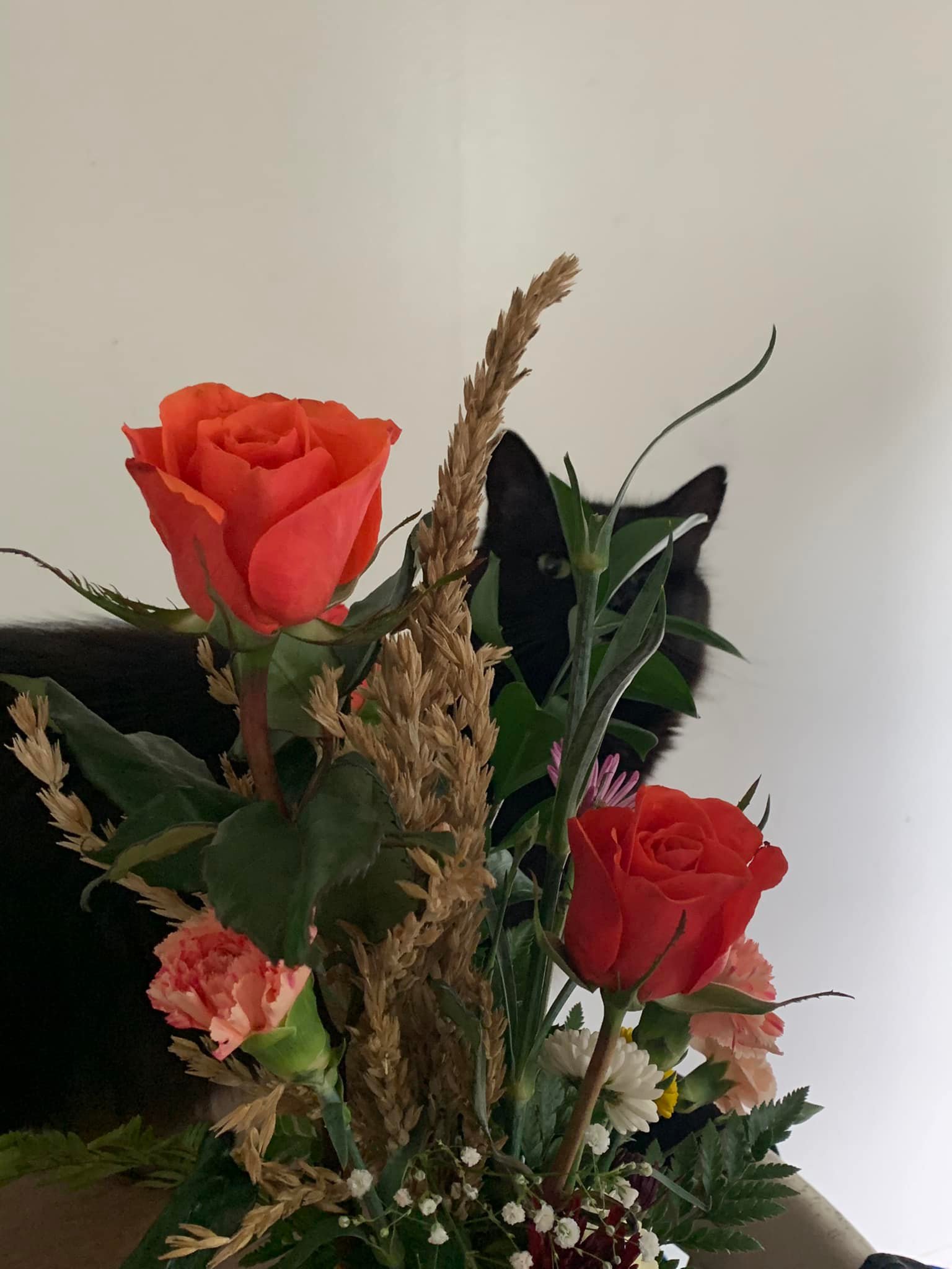 MACKENZIE G.'s post 1