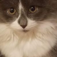 Jeremy Heaton's profile image