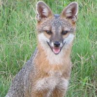 Ranger Tim's profile image