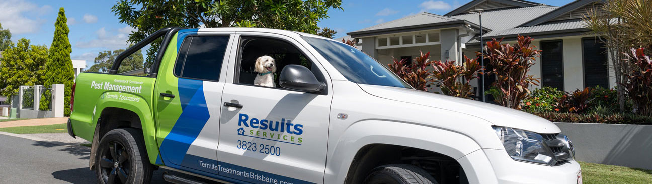 Results Termite and Pest Control Services's cover image