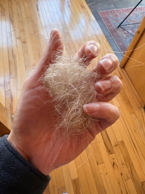 Rachel L.'s post 1