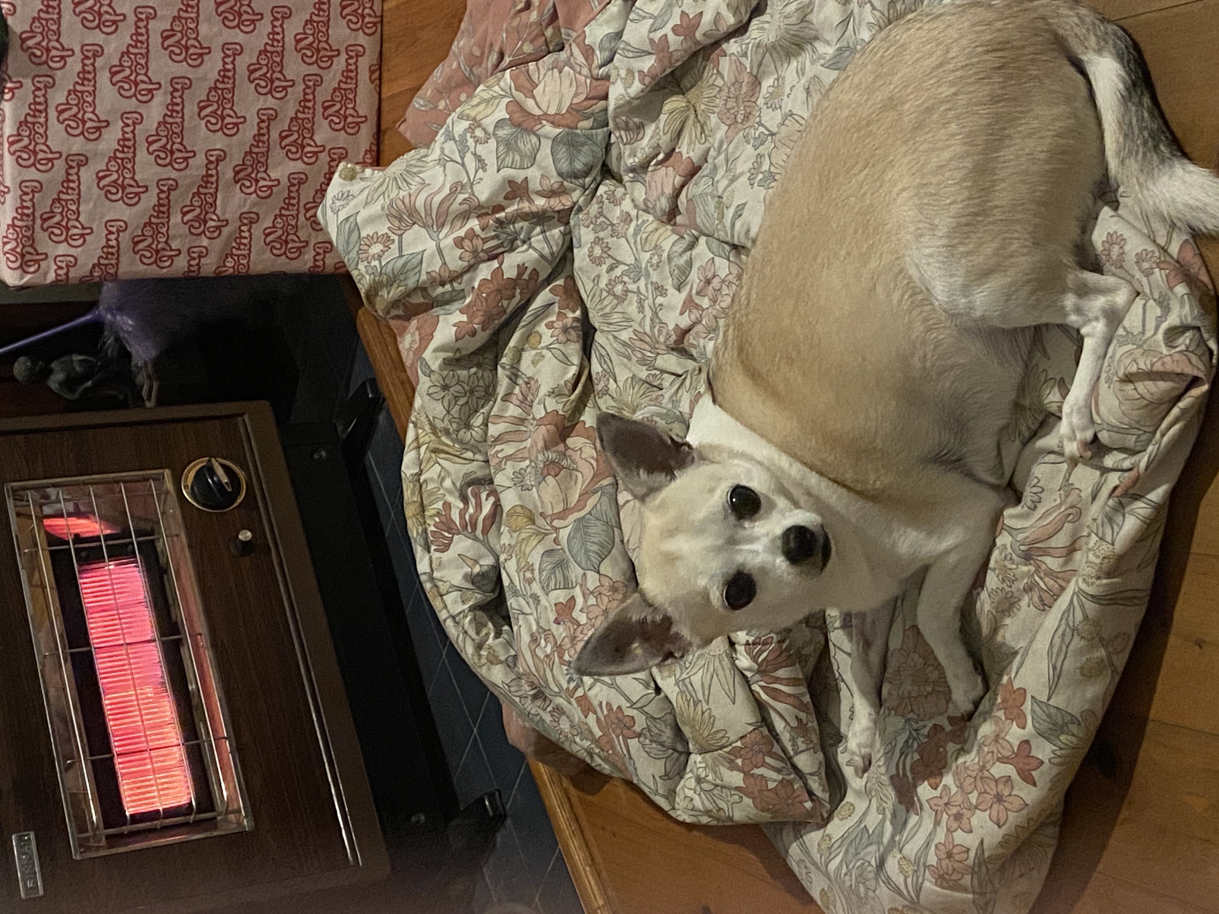 Deb B.'s post 1
