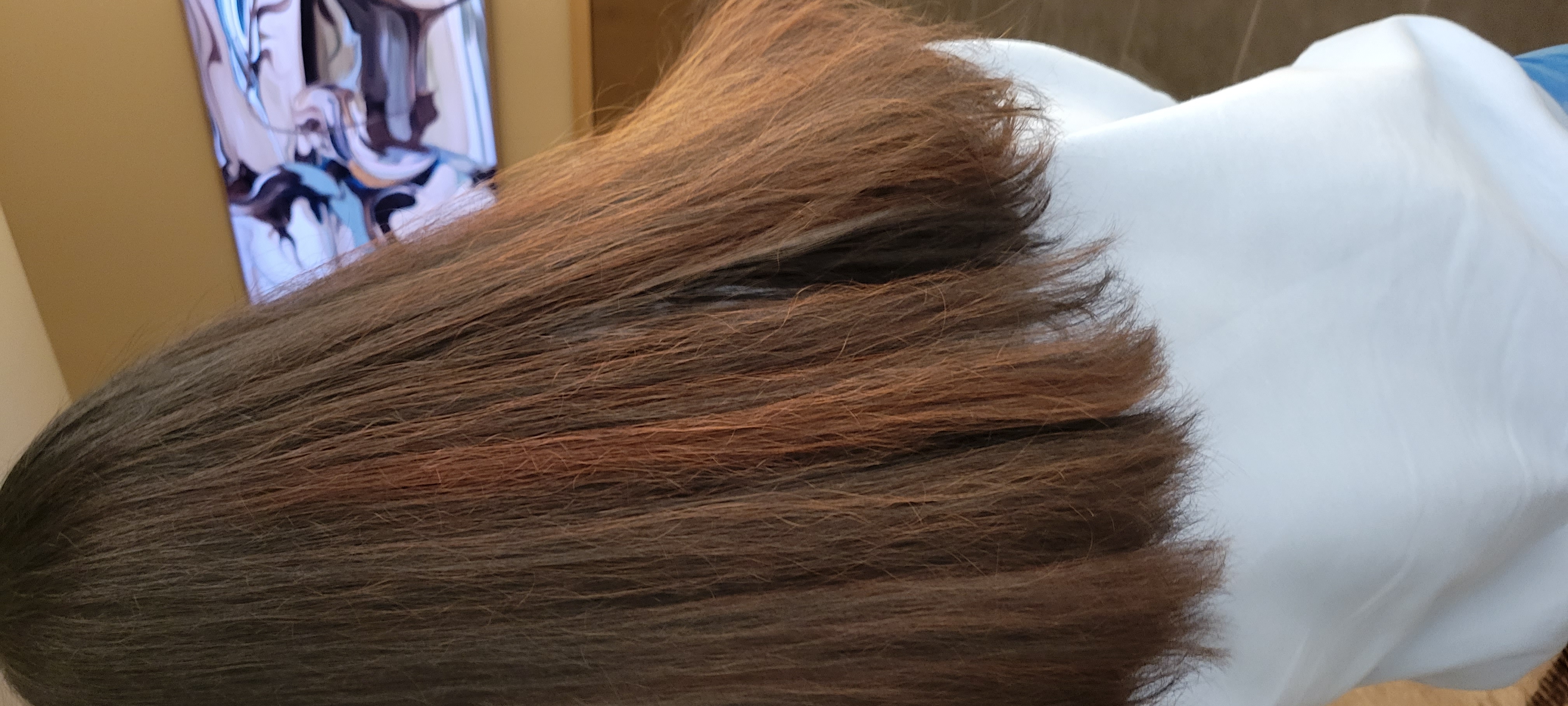 Jennifer C.'s post 2