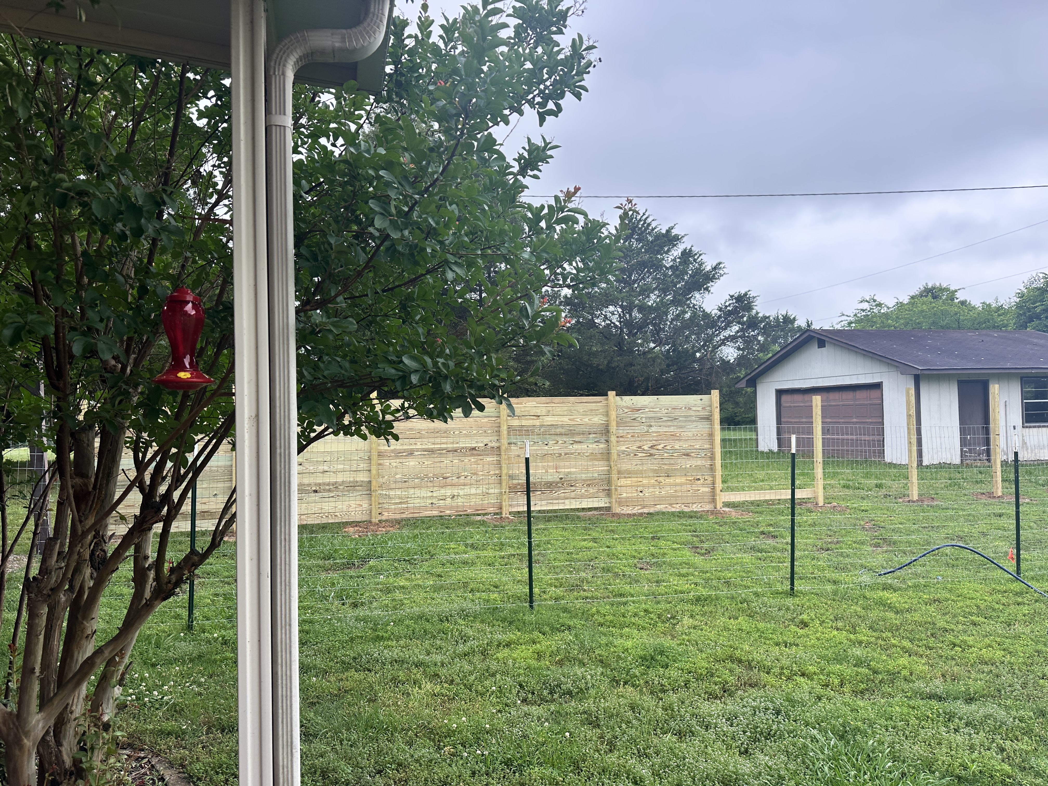 Terri Ann B.'s post 1