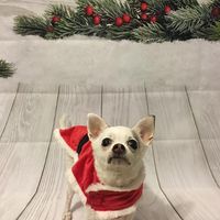 Francesca Landry's profile image