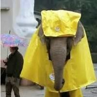 Verner Mullins's profile image