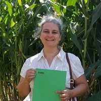 Nerissa Leininger's profile image