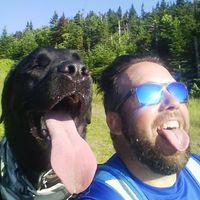 Steve Beauvais's profile image