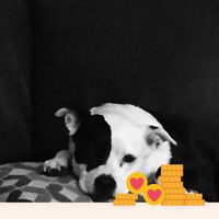 Terry Fraley's profile image