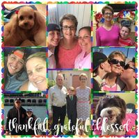 Debbie Scrimsher's profile image