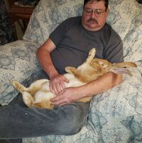 Christopher Young's profile image