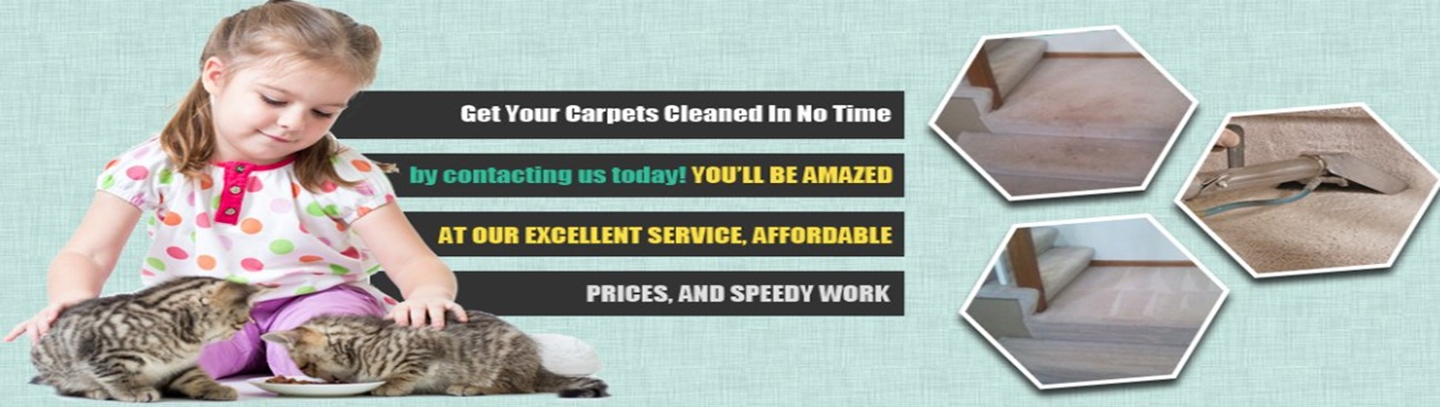 Rockwall Carpet Cleaning's cover image