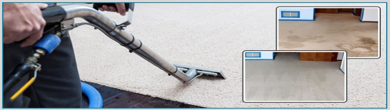 Carpet Cleaning Sunnyvale TX's cover image